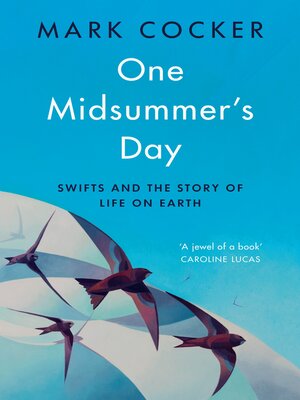 cover image of One Midsummer's Day